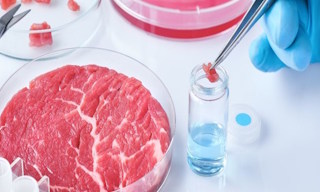 Лабораторный анализ пищевых продуктов по СанПиН в Старом Осколе в октябре