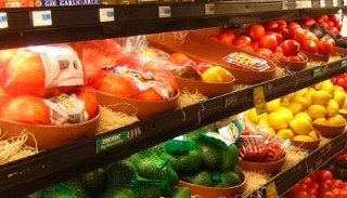 Сертификация пищевой продукции в Старом Осколе – цена от 10117 руб. | ПромМир