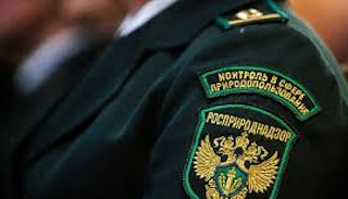 Подготовка к проверке Росприроднадзора в Старом Осколе от ПромМир-Срк, стоимость услуги от 20234 руб.